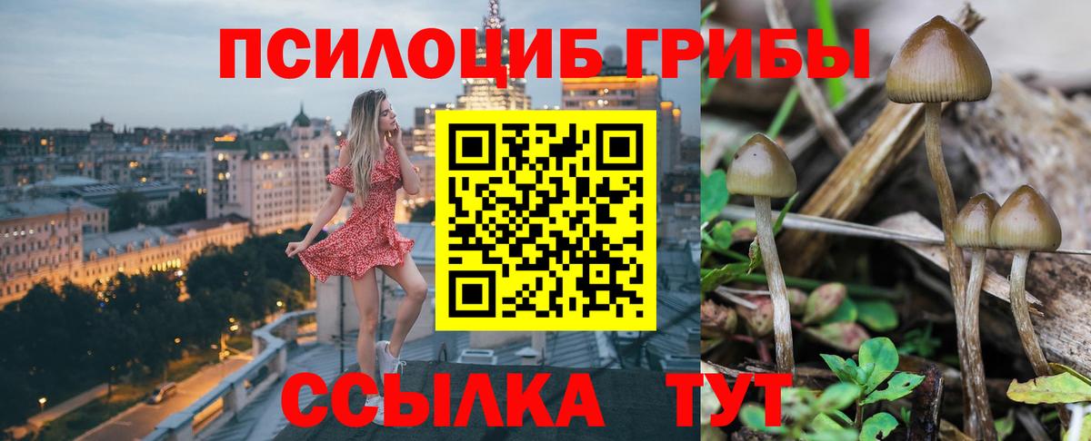 Галлюциногенные грибы прущие грибы  Галлюциногенные грибы Magic Shrooms  Сокол  Вход с VPN 